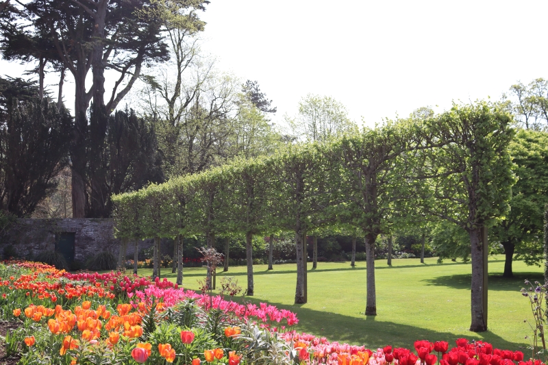 Glenarm Castle Walled Garden